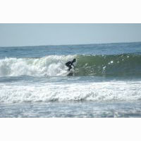 surferboi